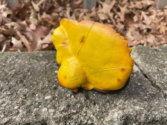 Greater Leafling - Yellow Autumn