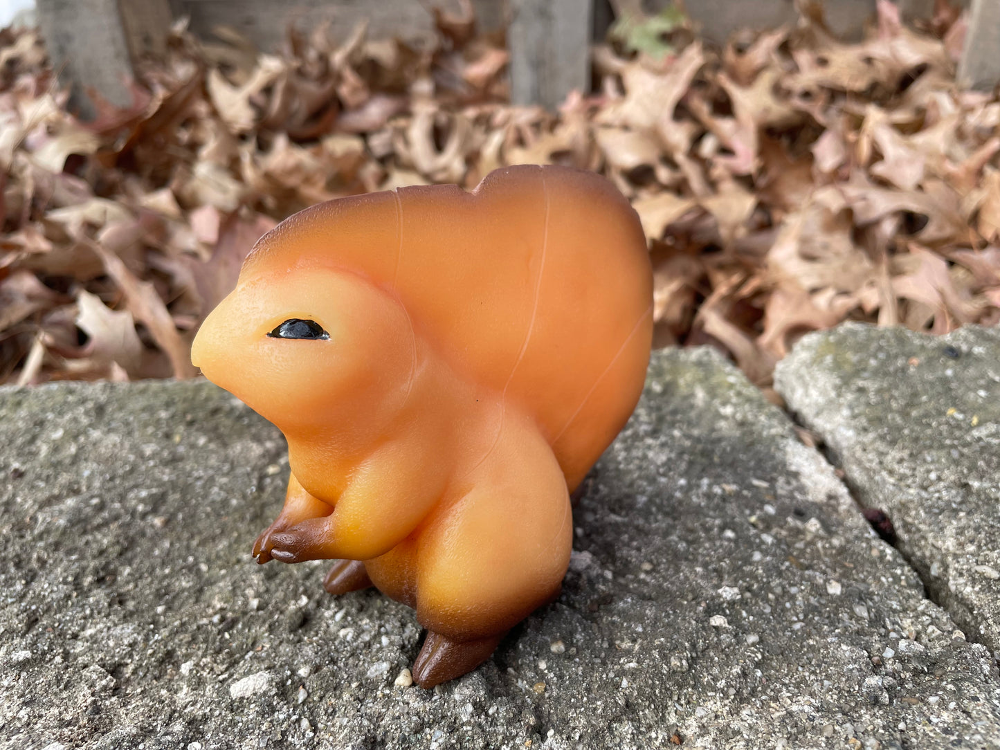 Greater Leafling - Orange