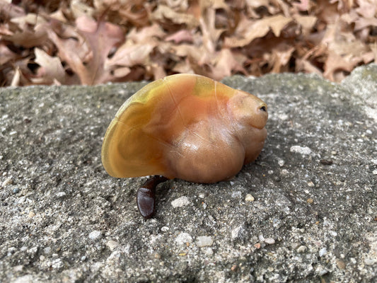 Leafling - Translucent Orange