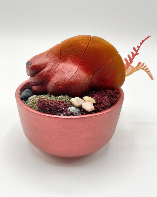 Red Iridescent Dishware Terrarium - Leafling