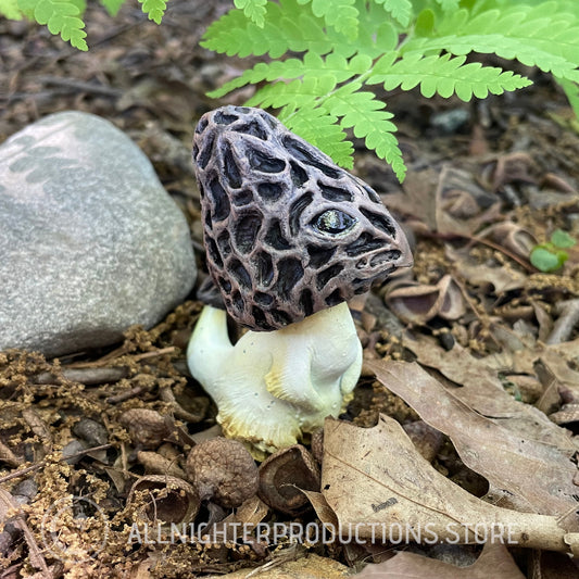 Shroomling - Dark Brown Morel