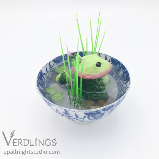 Dishware Terrarium - Pondling (Green)