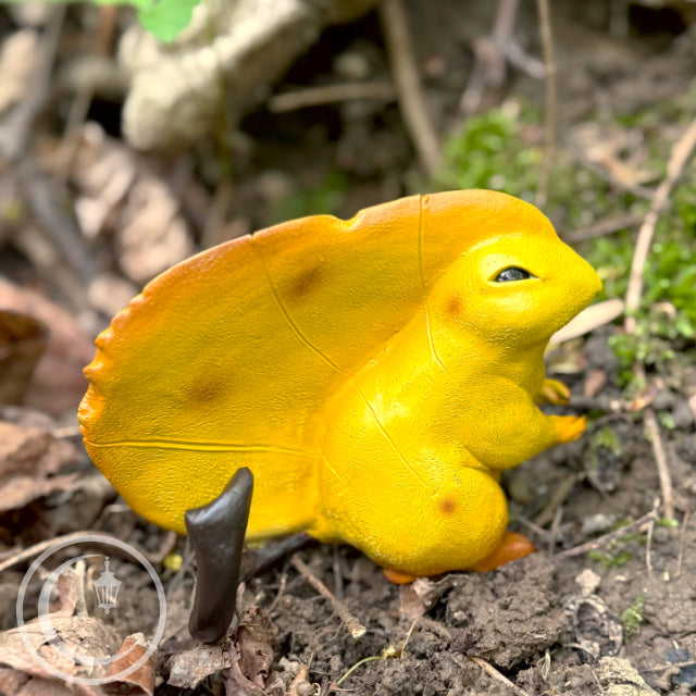 Greater Leafling - Yellow Autumn
