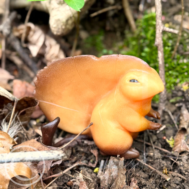 Greater Leafling - Orange