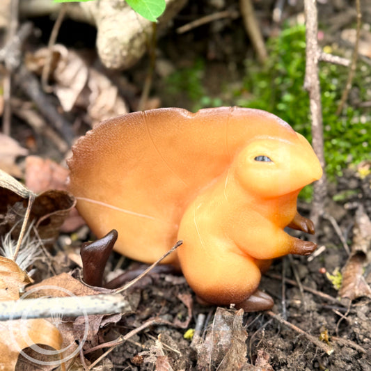 Greater Leafling - Orange